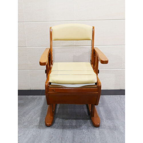 日本品牌Aron AR-750L座便椅 - Image 3