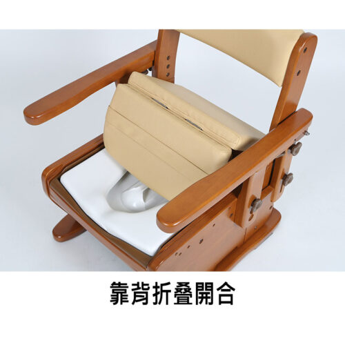 日本品牌Aron AR-750L座便椅 - Image 6