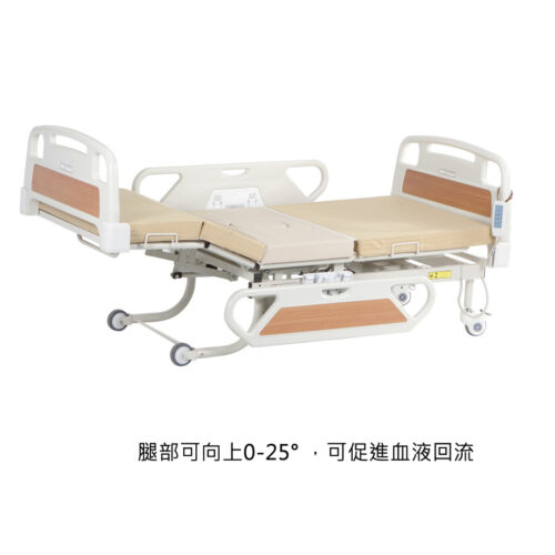 WZB-6B四功能電動護理床 - Image 2