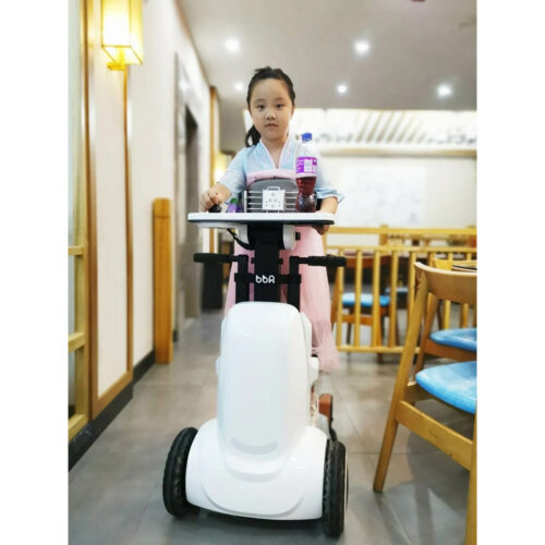 邦邦站立式電動輪椅(兒童版) BBR-HKPD-01 - Image 7