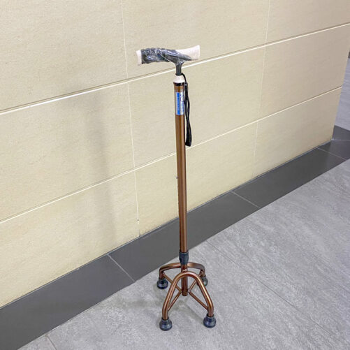 Cane 001_1