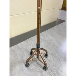 Cane 001_2